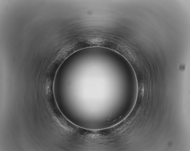 X0000096170408200801251156