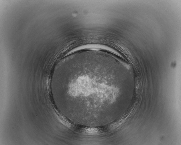 X0000096170409200801251156