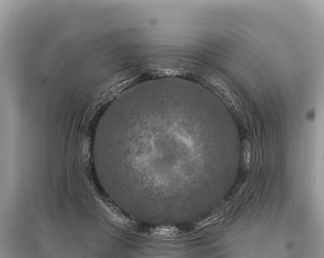 X0000096170410200801251156