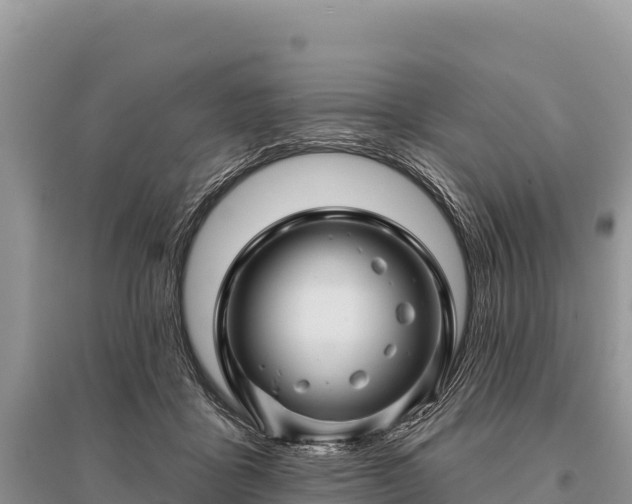 X0000096170411200801251156