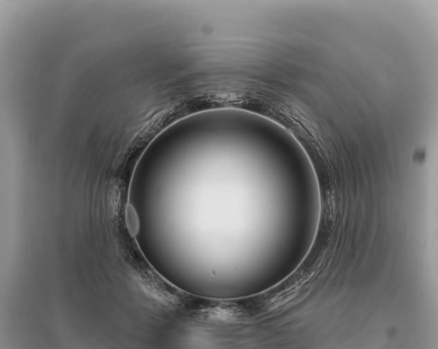 X0000096170412200801251156