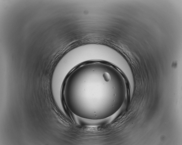 X0000096170413200801251156