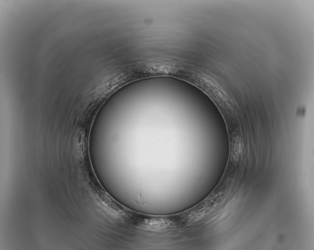 X0000096170414200801251156