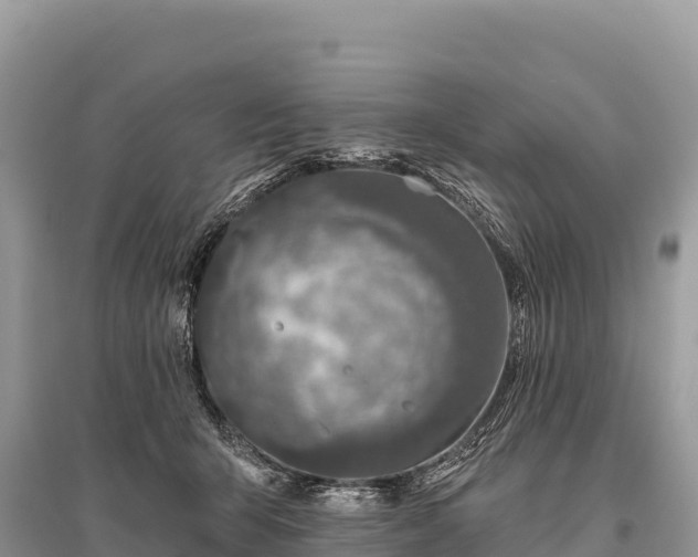 X0000096170415200801251156