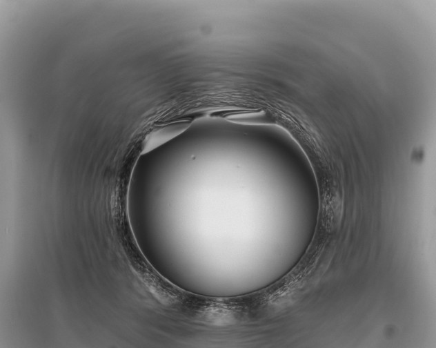 X0000096170416200801251156