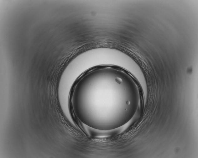 X0000096170417200801251155