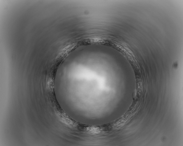 X0000096170419200801251155