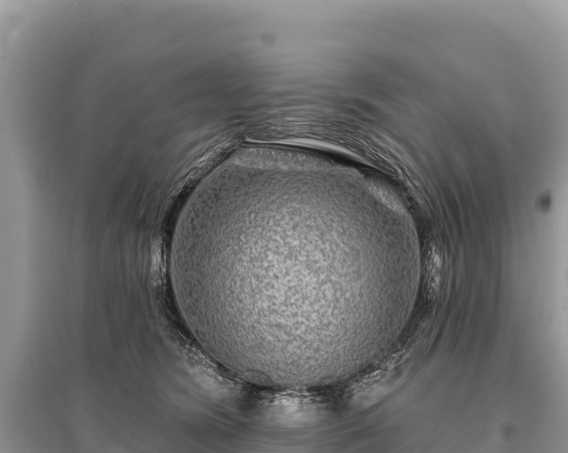 X0000096170420200801251155