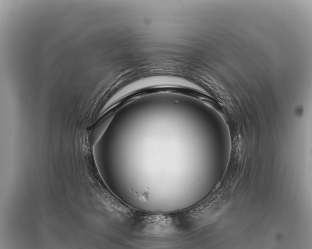 X0000096170421200801251155