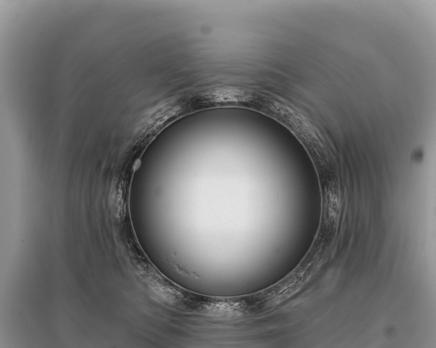 X0000096170422200801251155