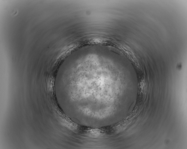 X0000096170423200801251155