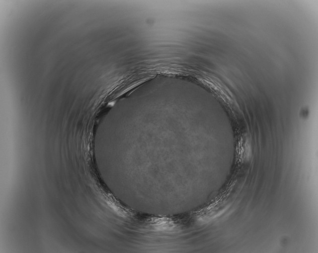 X0000096170424200801251155