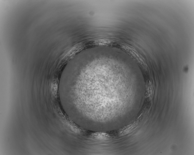 X0000096170427200801251155