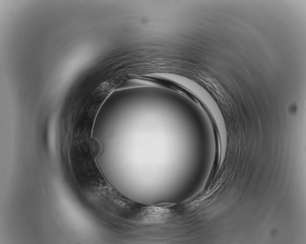 X0000096170429200801251155