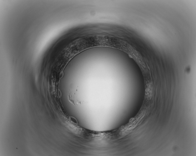 X0000096170430200801251155