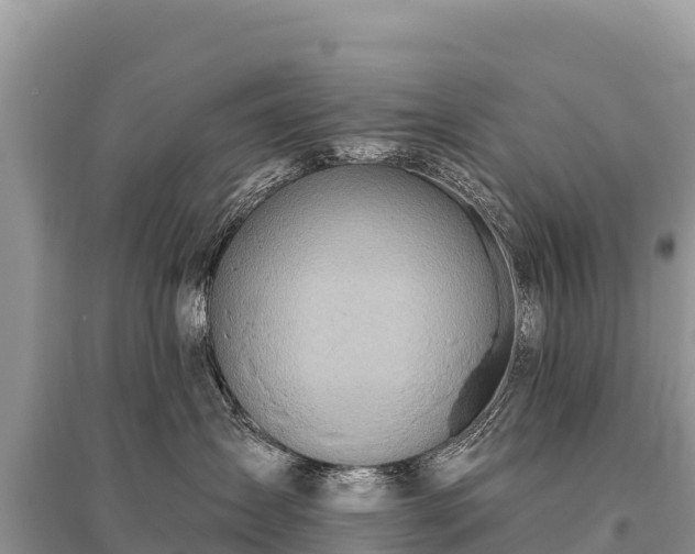 X0000096170431200801251155