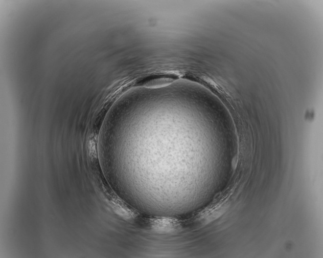 X0000096170432200801251155