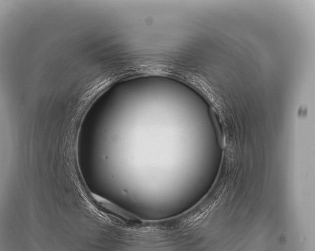 X0000096170433200801251154