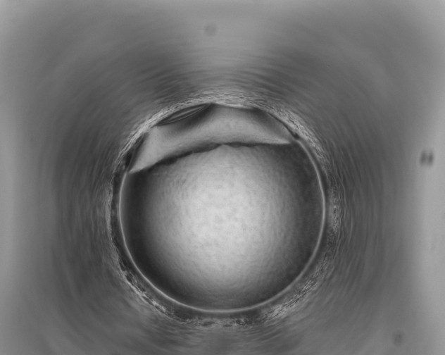 X0000096170434200801251154