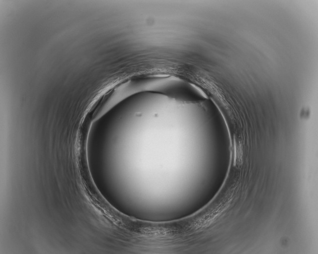 X0000096170435200801251154