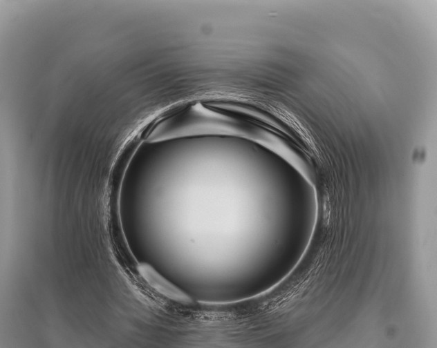 X0000096170436200801251154