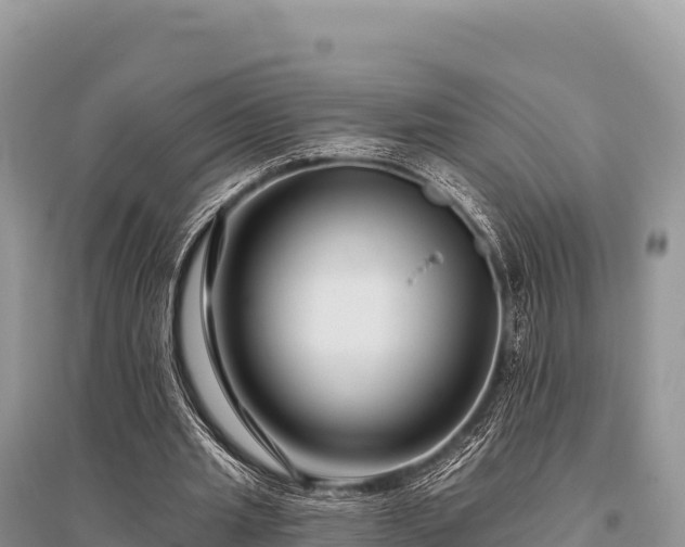 X0000096170437200801251155