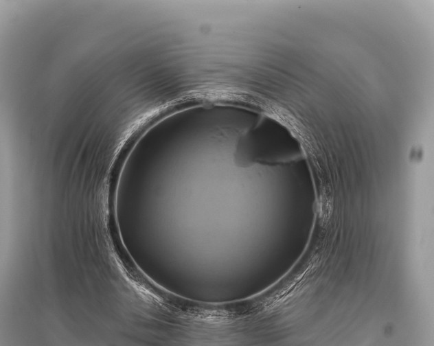 X0000096170438200801251155