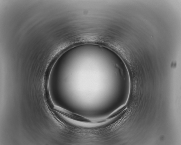 X0000096170439200801251155