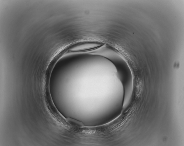 X0000096170440200801251155