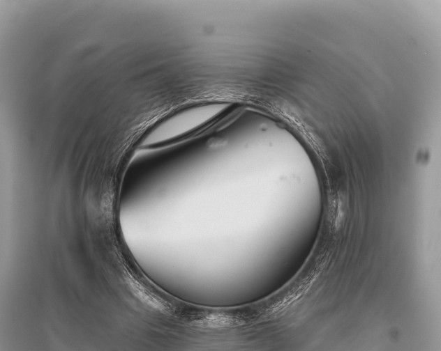 X0000096170441200801251155