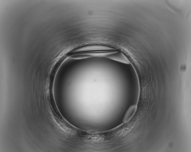 X0000096170443200801251155