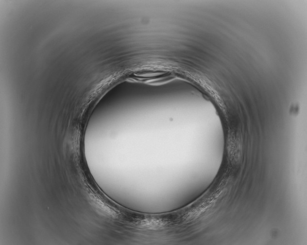 X0000096170445200801251155