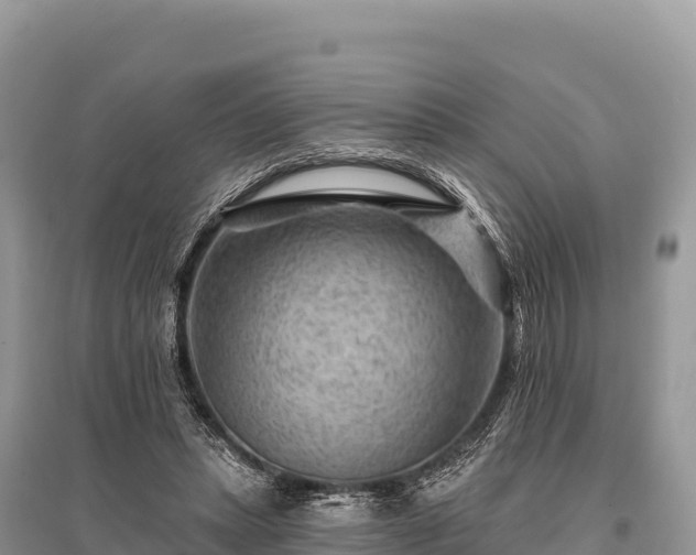 X0000096170447200801251155