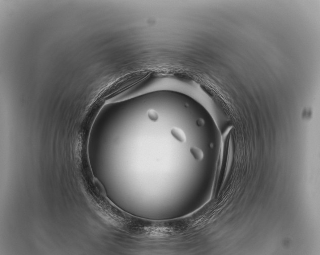 X0000096170448200801251155