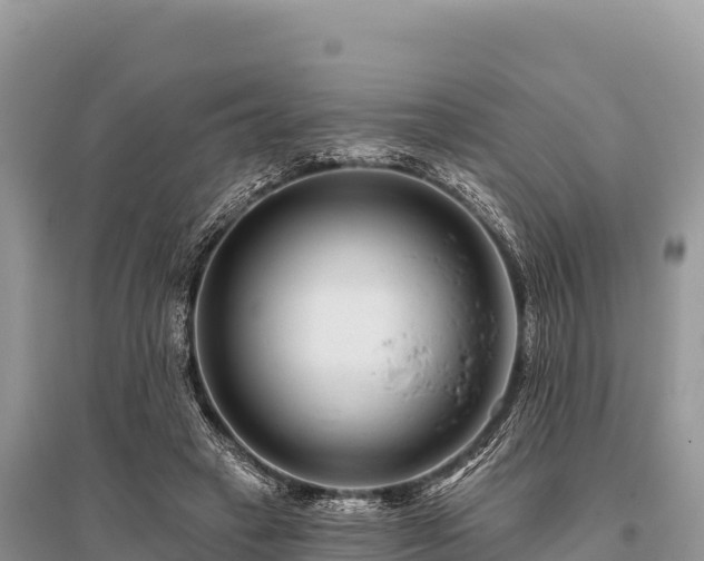 X0000096170449200801251155