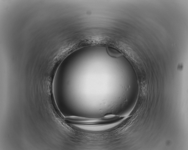 X0000096170450200801251155