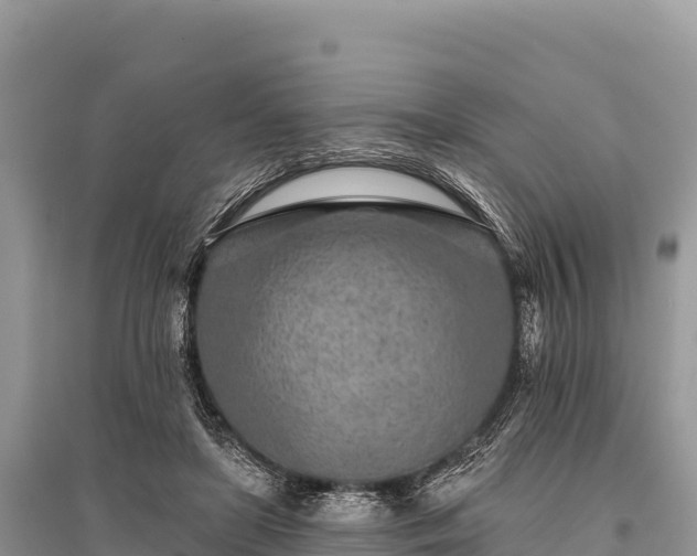 X0000096170451200801251155