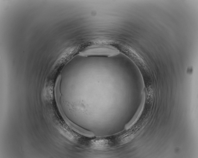 X0000096170452200801251155