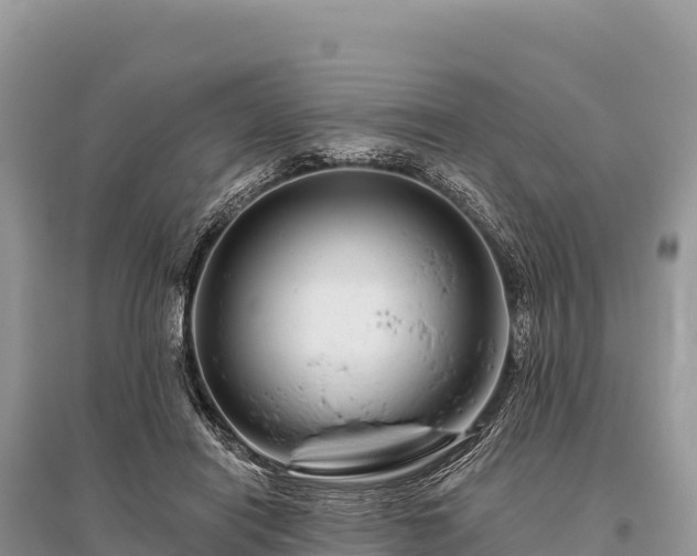 X0000096170454200801251155