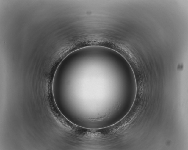 X0000096170455200801251155