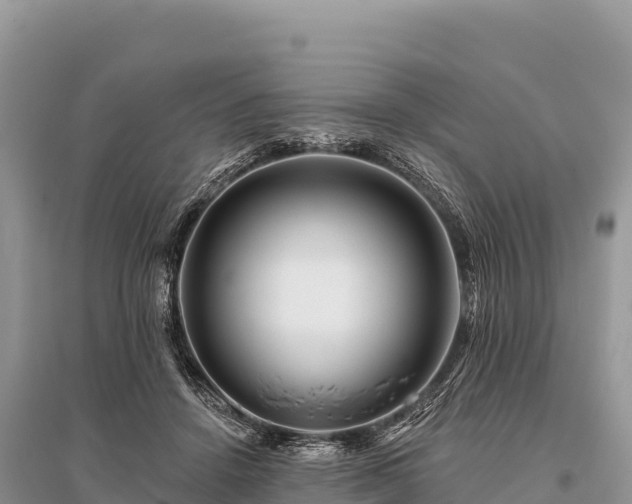 X0000096170456200801251155