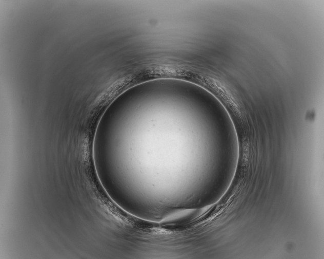 X0000096170457200801251155