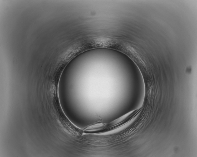 X0000096170459200801251155