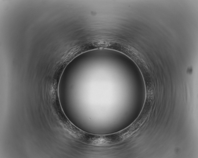 X0000096170460200801251155