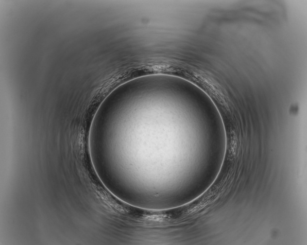 X0000096170461200801251155