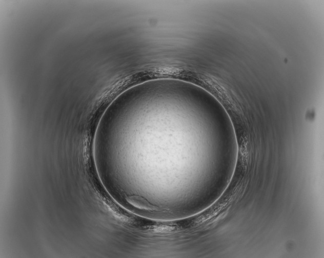 X0000096170462200801251155