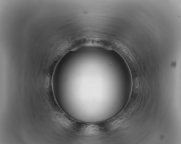 X0000096170463200801251155