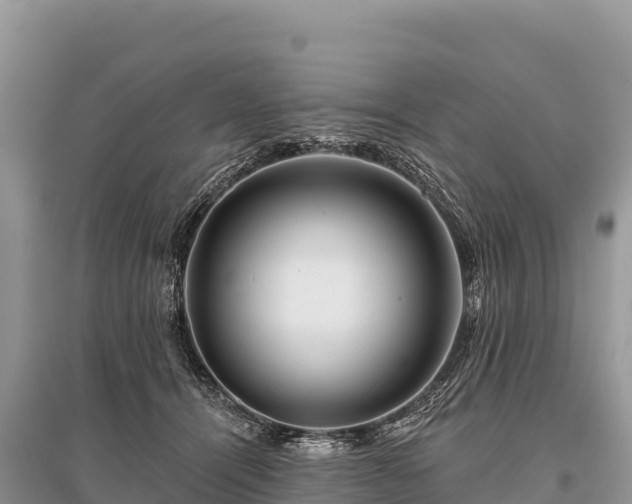 X0000096170464200801251155