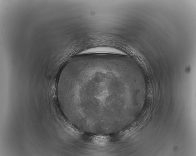 X0000096170465200801251155