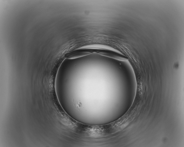 X0000096170466200801251155